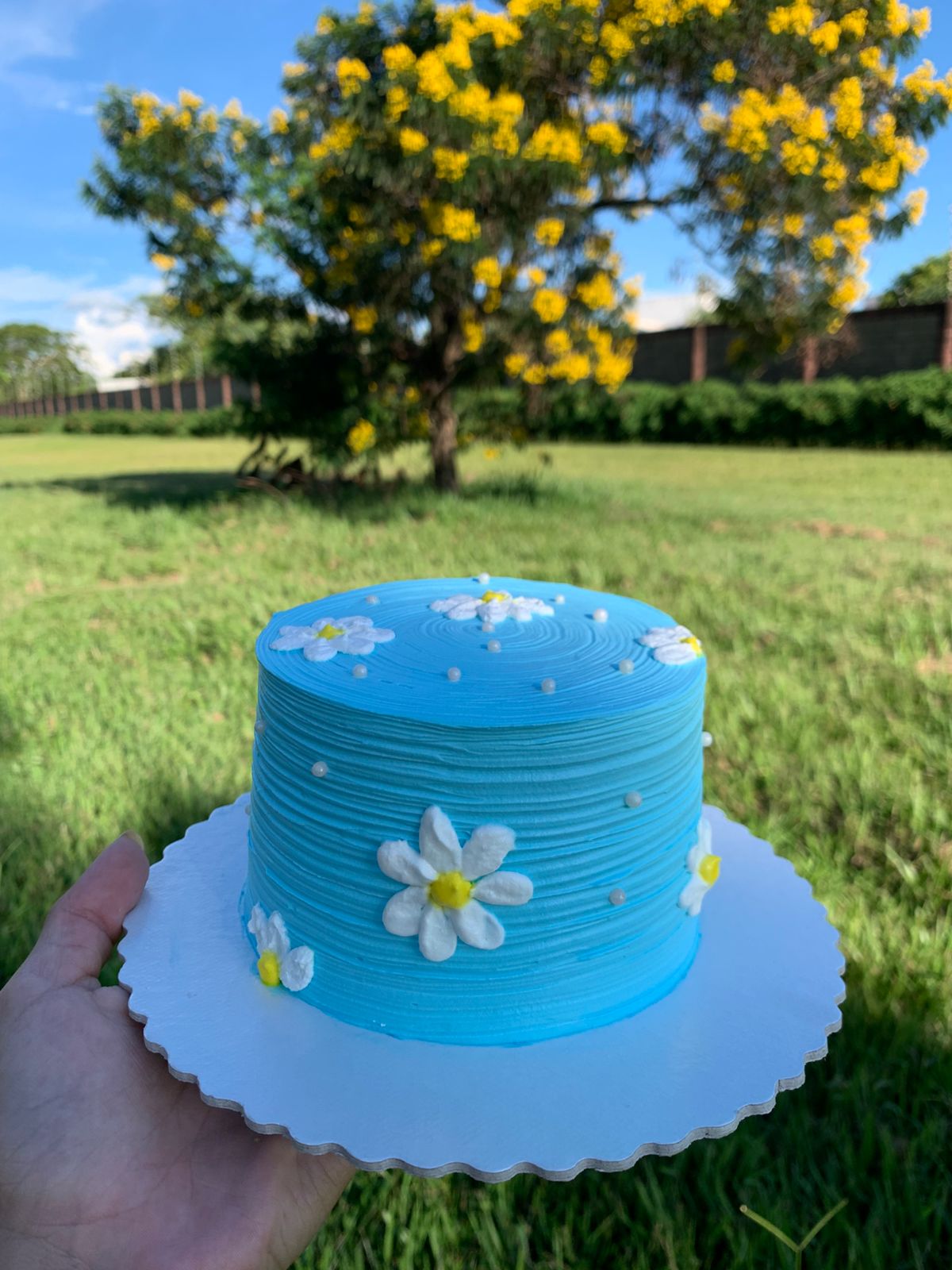 Bento Cake Personalizado
